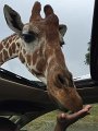 Kids_FossilRim_8-2016 (62)